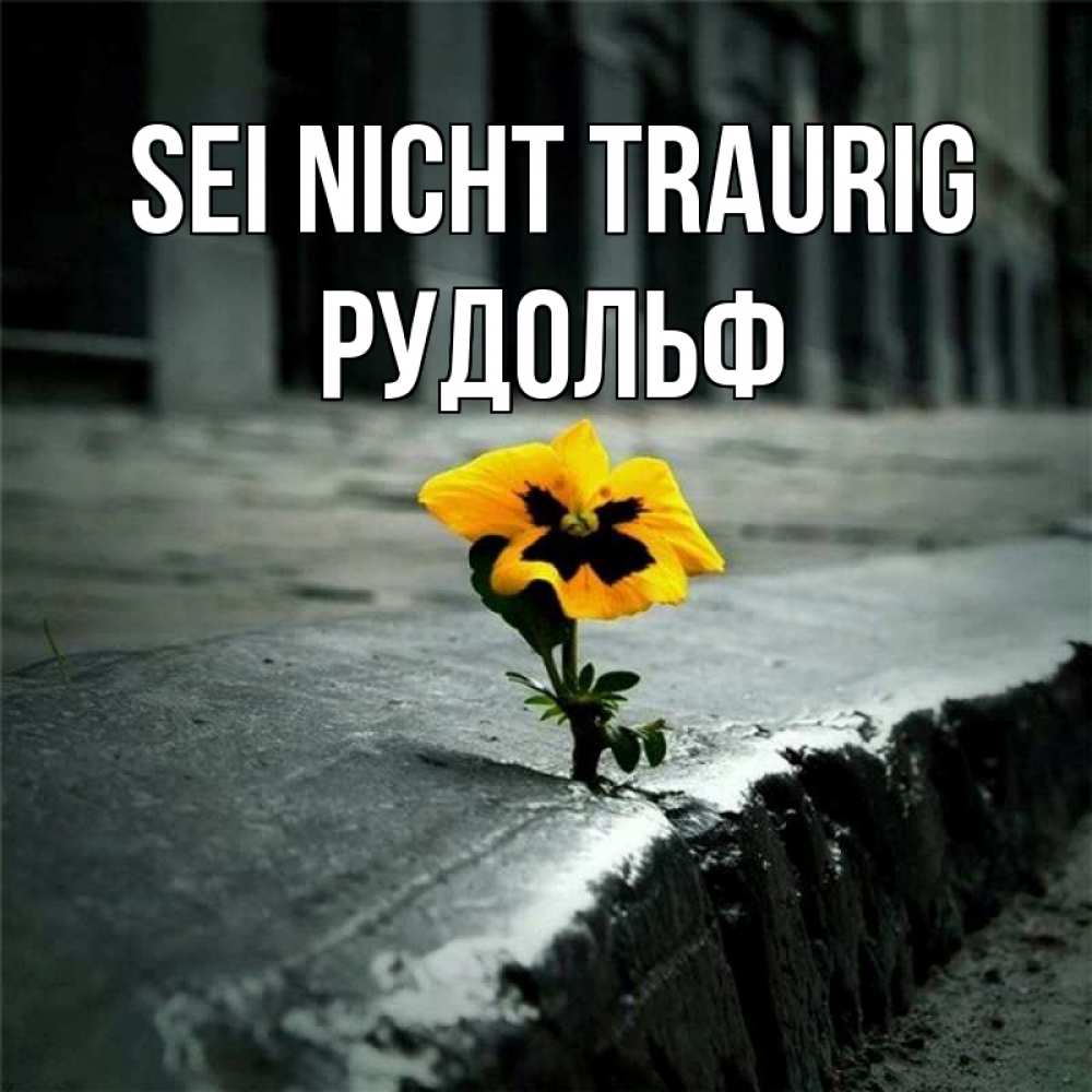 Открытка на каждый день с именем, Рудольф Sei nicht traurig не сдавайся Прикольная открытка с пожеланием онлайн скачать бесплатно 