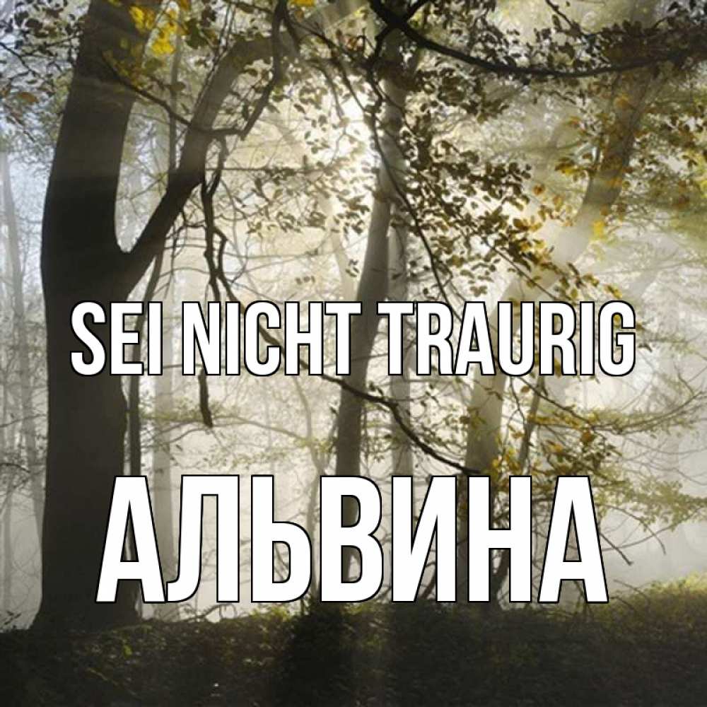 Открытка на каждый день с именем, Альвина Sei nicht traurig лес и свет Прикольная открытка с пожеланием онлайн скачать бесплатно 