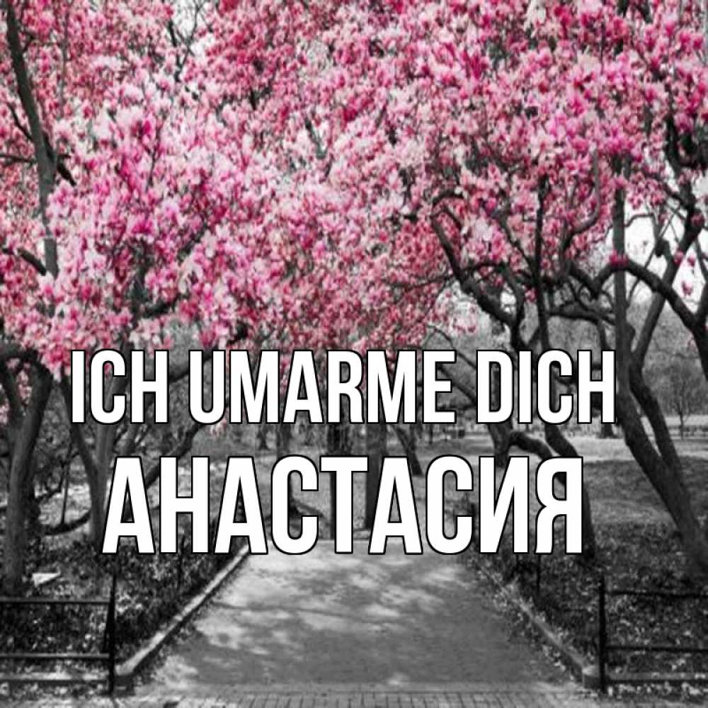 Открытка на каждый день с именем, Анастасия Ich umarme dich обработанное фото Прикольная открытка с пожеланием онлайн скачать бесплатно 