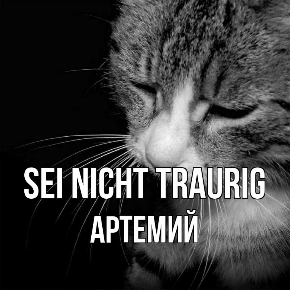 Открытка на каждый день с именем, Артемий Sei nicht traurig грустный котик Прикольная открытка с пожеланием онлайн скачать бесплатно 