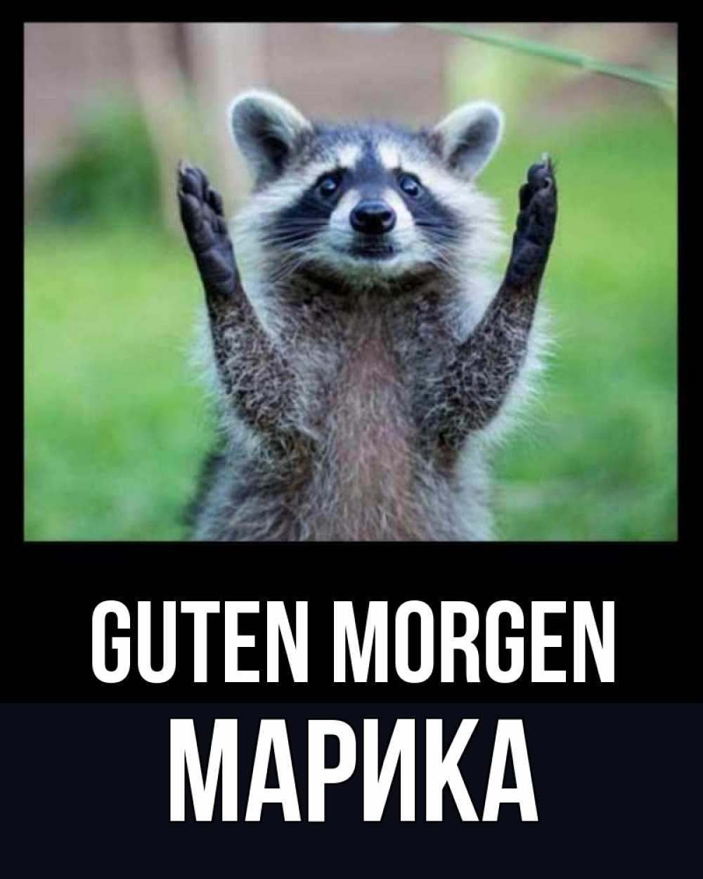 Открытка на каждый день с именем, Марика Guten Morgen хорошее настроение утречком Прикольная открытка с пожеланием онлайн скачать бесплатно 