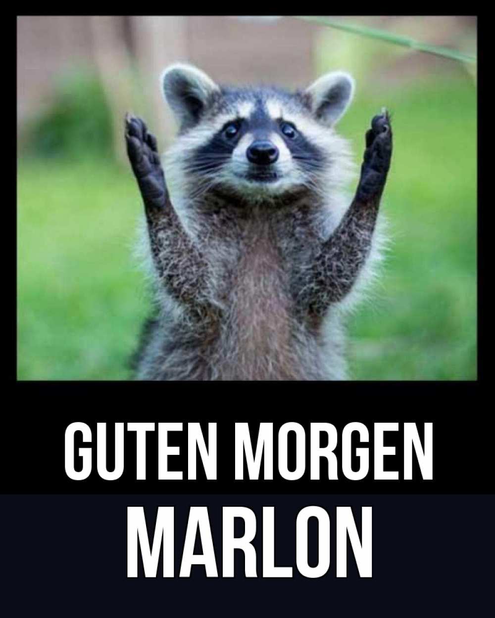 Открытка на каждый день с именем, Marlon Guten Morgen хорошее настроение утречком Прикольная открытка с пожеланием онлайн скачать бесплатно 