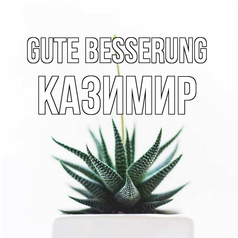 Открытка на каждый день с именем, Казимир Gute Besserung короче это непонятная колючка Прикольная открытка с пожеланием онлайн скачать бесплатно 