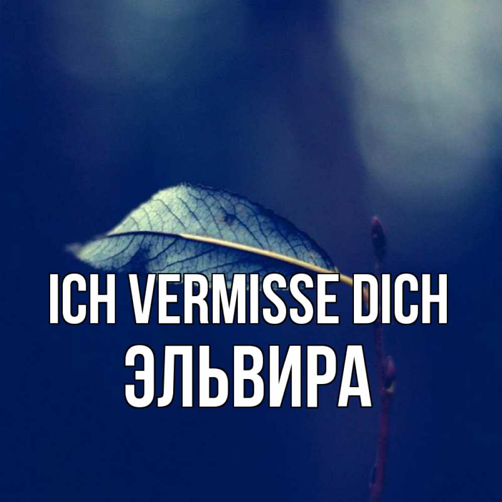 Открытка на каждый день с именем, Эльвира Ich vermisse dich одна ветка 1 Прикольная открытка с пожеланием онлайн скачать бесплатно 