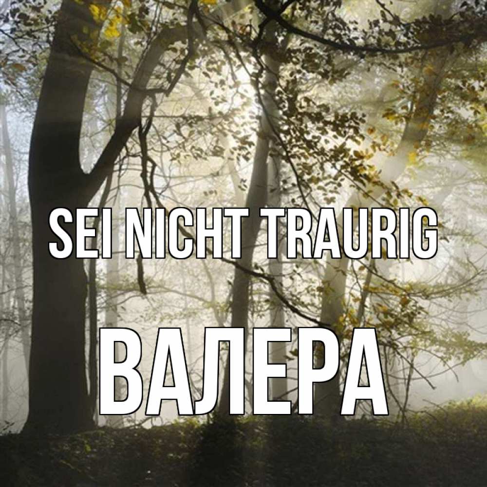 Открытка на каждый день с именем, Валера Sei nicht traurig лес и свет Прикольная открытка с пожеланием онлайн скачать бесплатно 