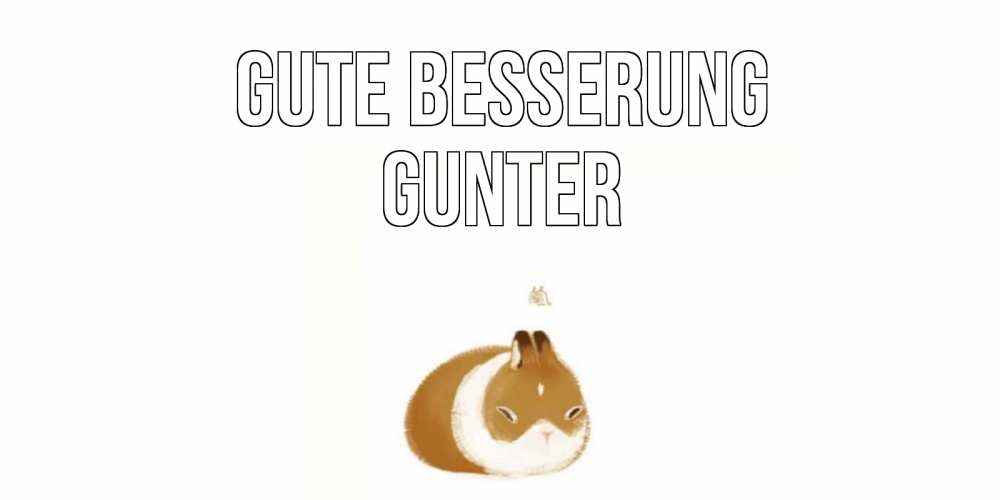 Открытка на каждый день с именем, Gunter Gute Besserung морская свинка на открытке с пожеланиями не болеть Прикольная открытка с пожеланием онлайн скачать бесплатно 