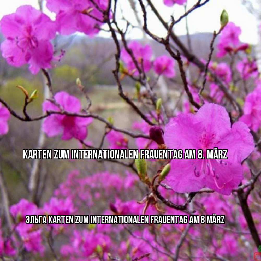 Картинка Karten zum Internationalen Frauentag am 8. März, Эльга