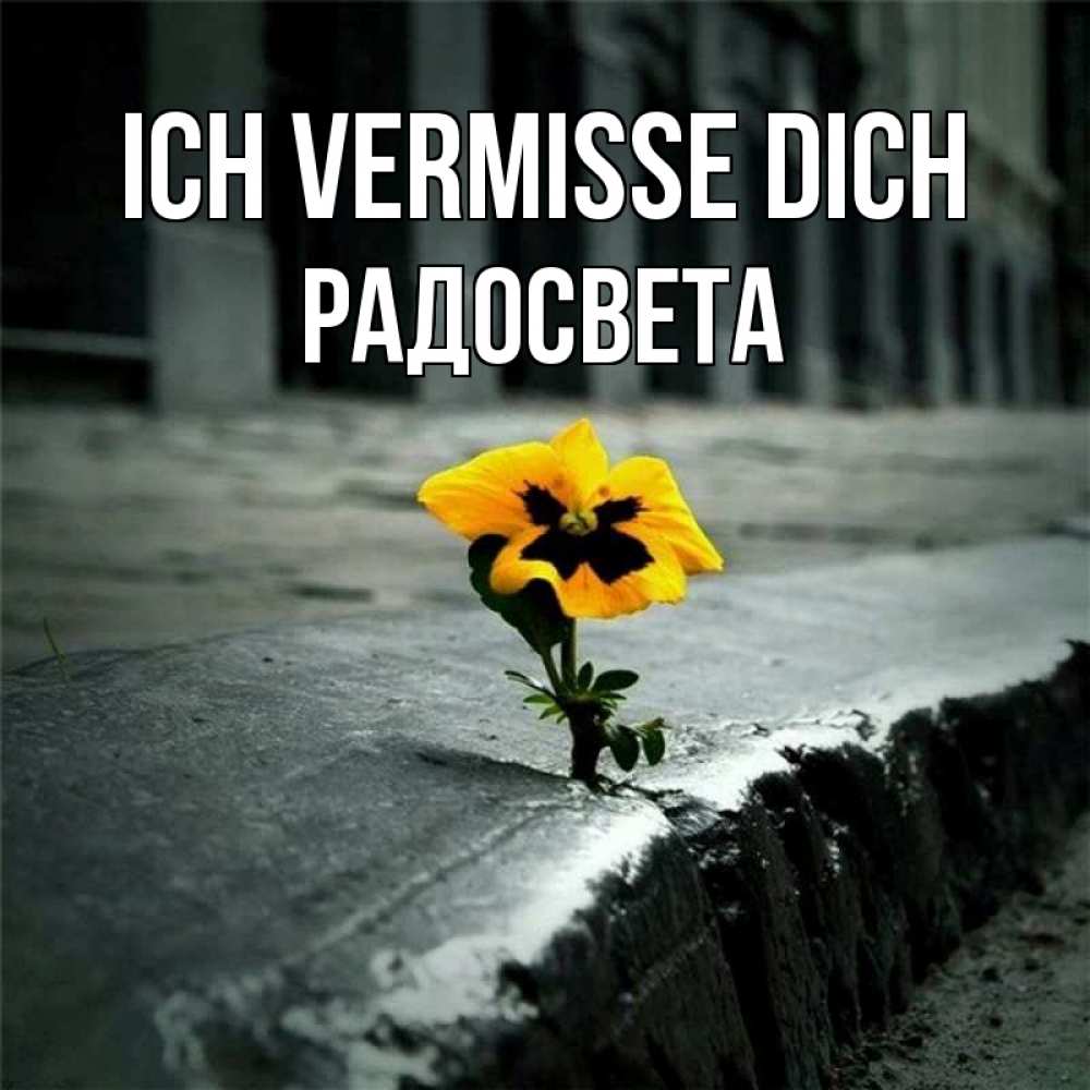 Открытка на каждый день с именем, Радосвета Ich vermisse dich надеюсь будет лучше Прикольная открытка с пожеланием онлайн скачать бесплатно 