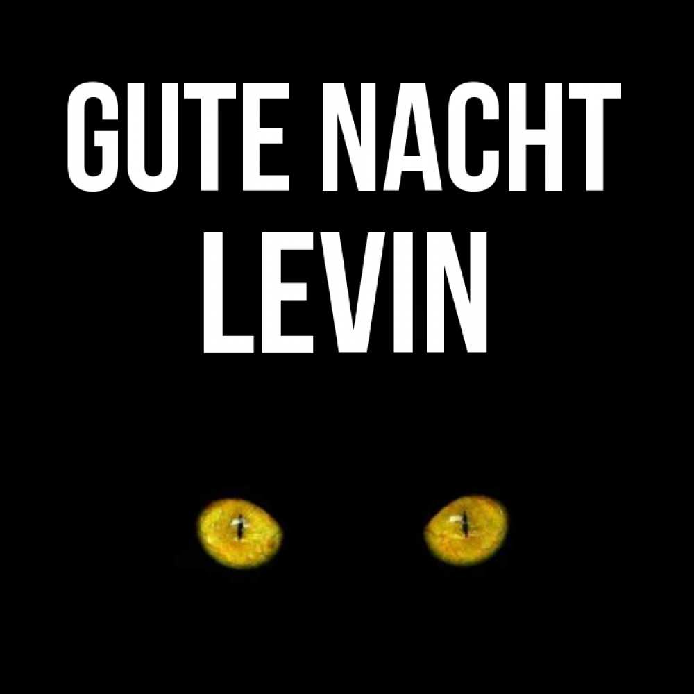 Открытка на каждый день с именем, Levin Gute Nacht сладких снов бесстрашный мой дружочек Прикольная открытка с пожеланием онлайн скачать бесплатно 