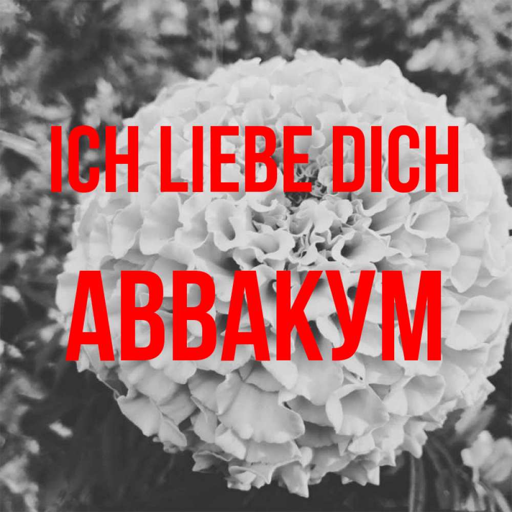 Открытка на каждый день с именем, Аввакум Ich liebe dich подпись Прикольная открытка с пожеланием онлайн скачать бесплатно 
