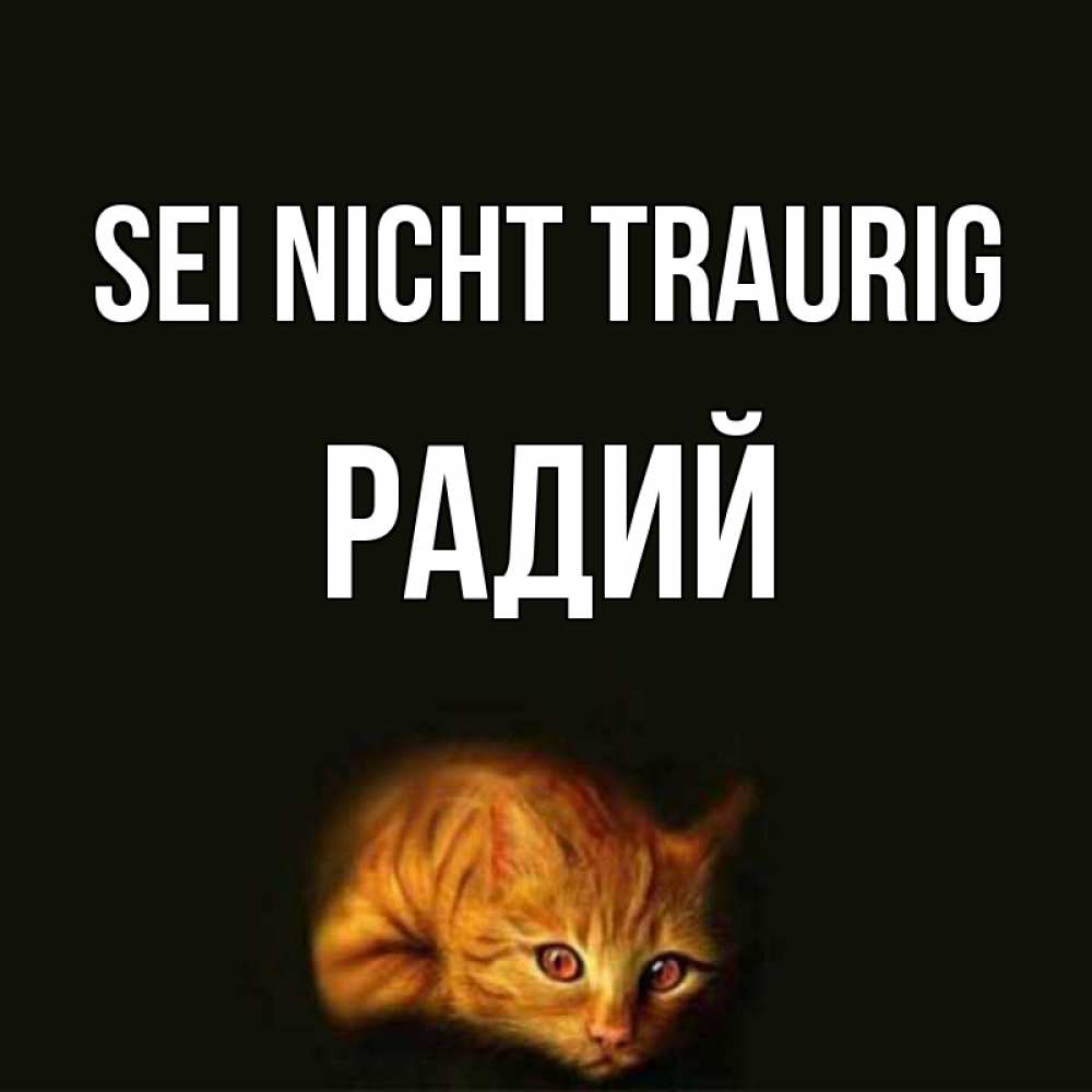 Открытка на каждый день с именем, Радий Sei nicht traurig лежащий кот в темноте Прикольная открытка с пожеланием онлайн скачать бесплатно 