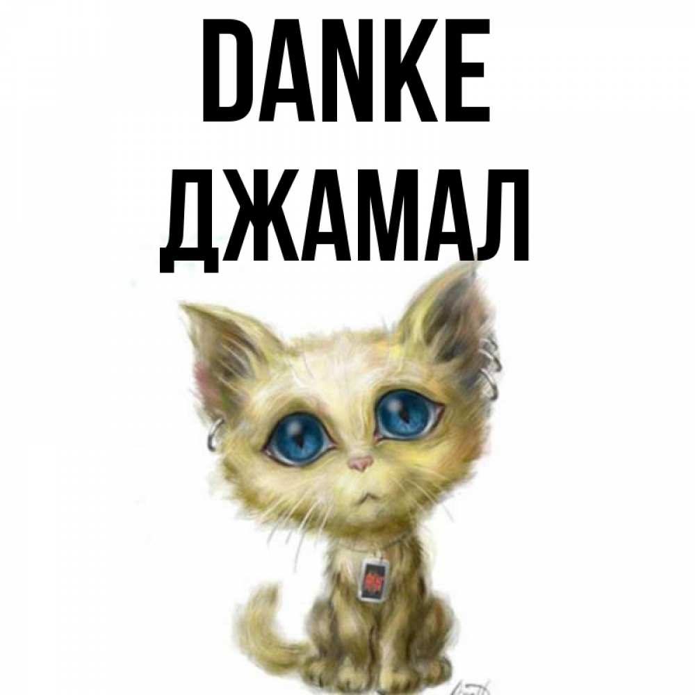 Открытка на каждый день с именем, Джамал Danke рисованный кот благодарит вас Прикольная открытка с пожеланием онлайн скачать бесплатно 