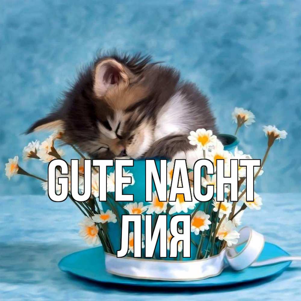 Открытка на каждый день с именем, Лия Gute Nacht котенок спит в кружке с блюдцем Прикольная открытка с пожеланием онлайн скачать бесплатно 