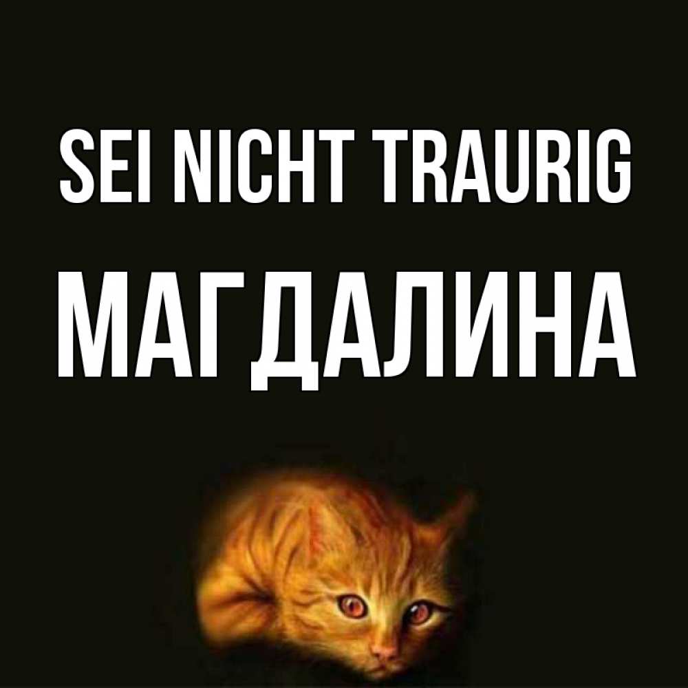 Открытка на каждый день с именем, Магдалина Sei nicht traurig лежащий кот в темноте Прикольная открытка с пожеланием онлайн скачать бесплатно 