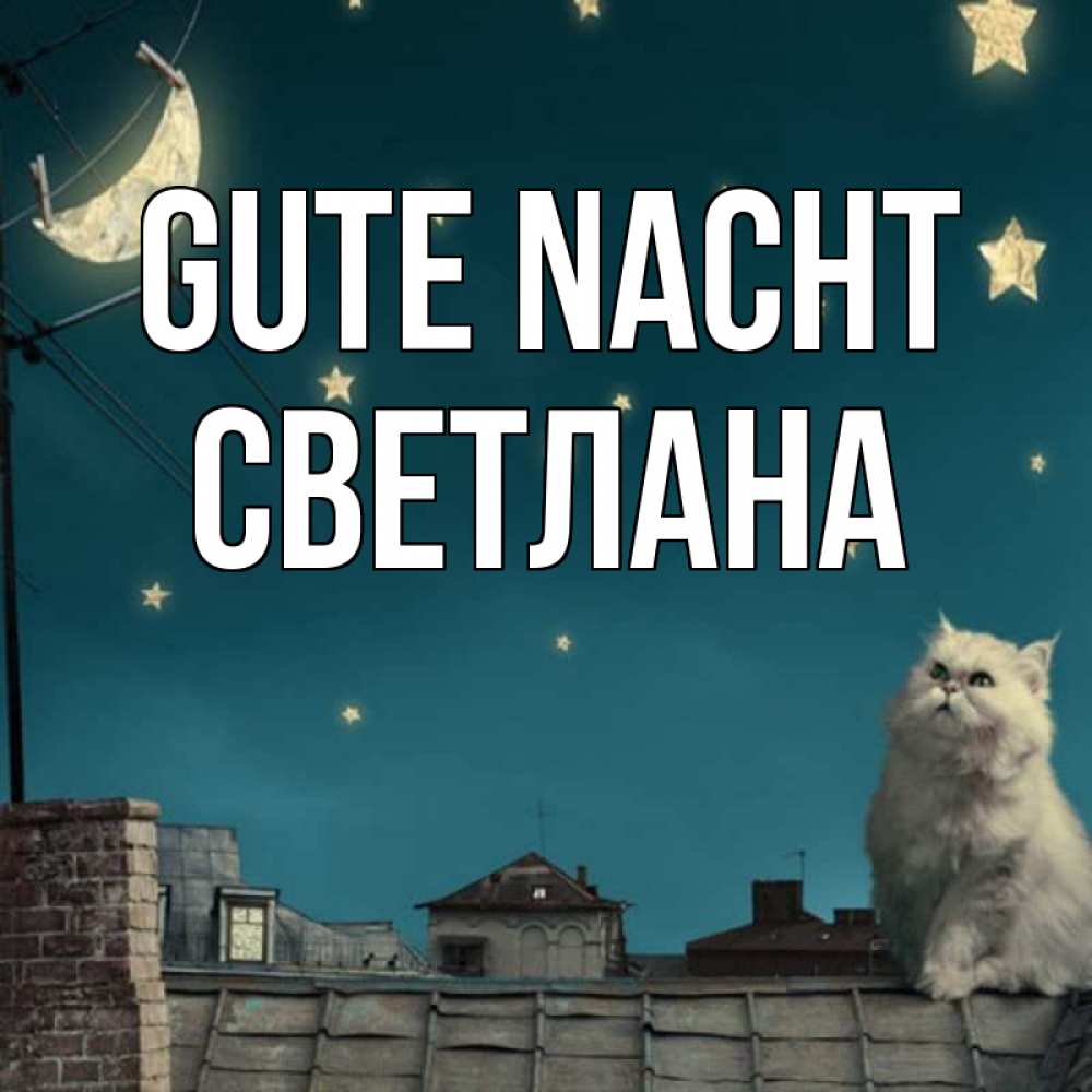 Открытка на каждый день с именем, Светлана Gute Nacht белый кот сидит на крыше Прикольная открытка с пожеланием онлайн скачать бесплатно 