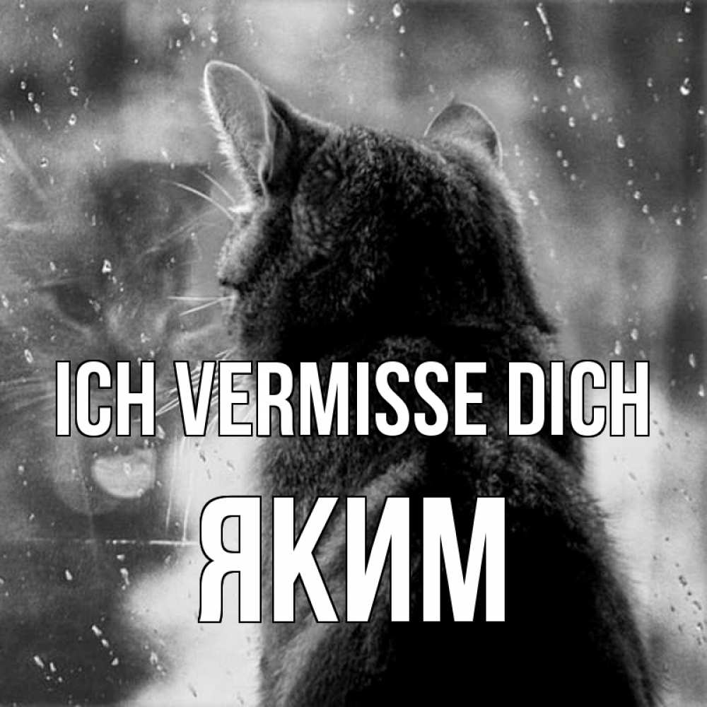 Открытка на каждый день с именем, Яким Ich vermisse dich скорее ко мне приходи 1 Прикольная открытка с пожеланием онлайн скачать бесплатно 