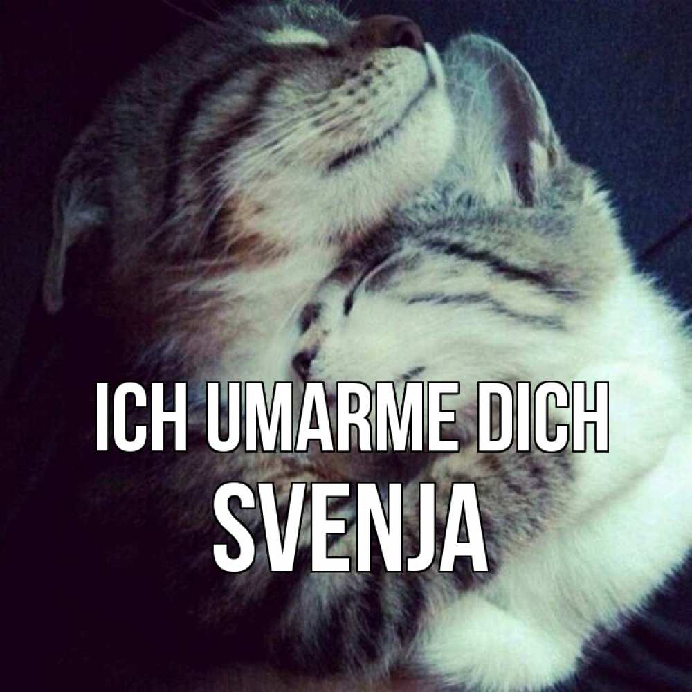 Открытка на каждый день с именем, Svenja Ich umarme dich полосатики Прикольная открытка с пожеланием онлайн скачать бесплатно 