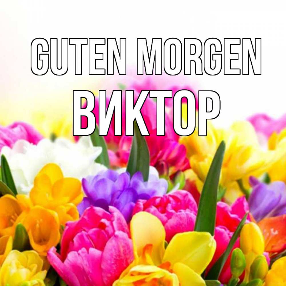 Открытка на каждый день с именем, Виктор Guten Morgen создать открытку со свое подписью Прикольная открытка с пожеланием онлайн скачать бесплатно 