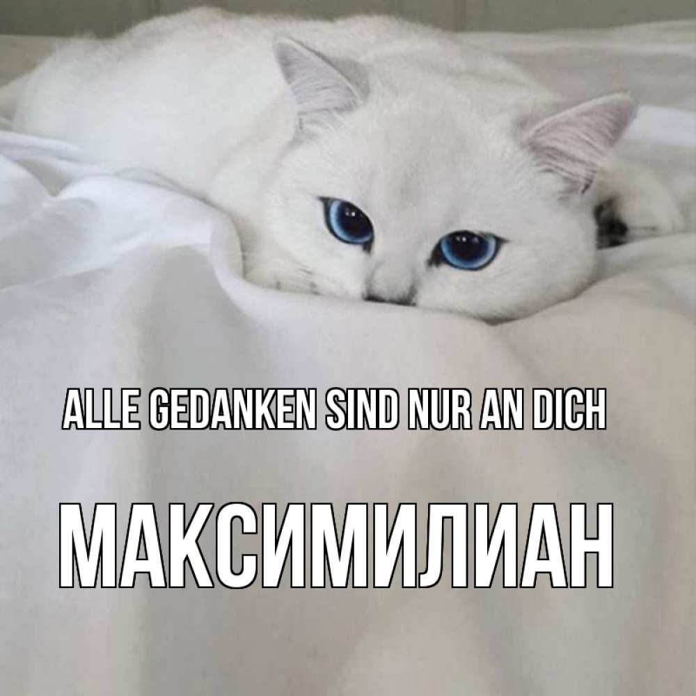 Открытка на каждый день с именем, Максимилиан Alle Gedanken sind nur an dich я очень по тебе скучаю и тоскую Прикольная открытка с пожеланием онлайн скачать бесплатно 