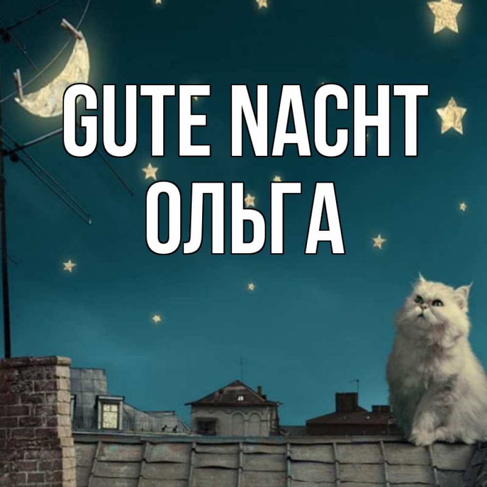 Открытка на каждый день с именем, Ольга Gute Nacht белый кот сидит на крыше Прикольная открытка с пожеланием онлайн скачать бесплатно 