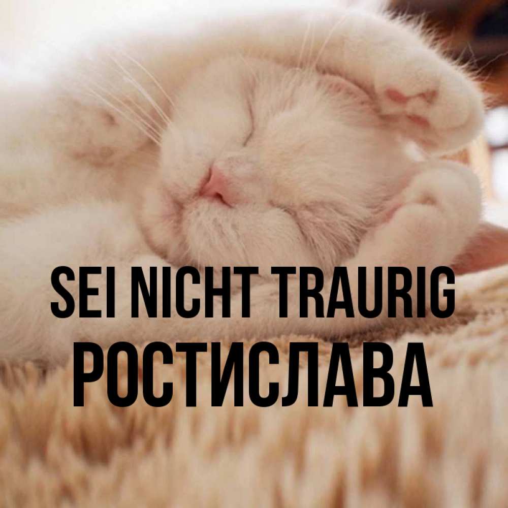 Открытка на каждый день с именем, Ростислава Sei nicht traurig Котенок спит Прикольная открытка с пожеланием онлайн скачать бесплатно 