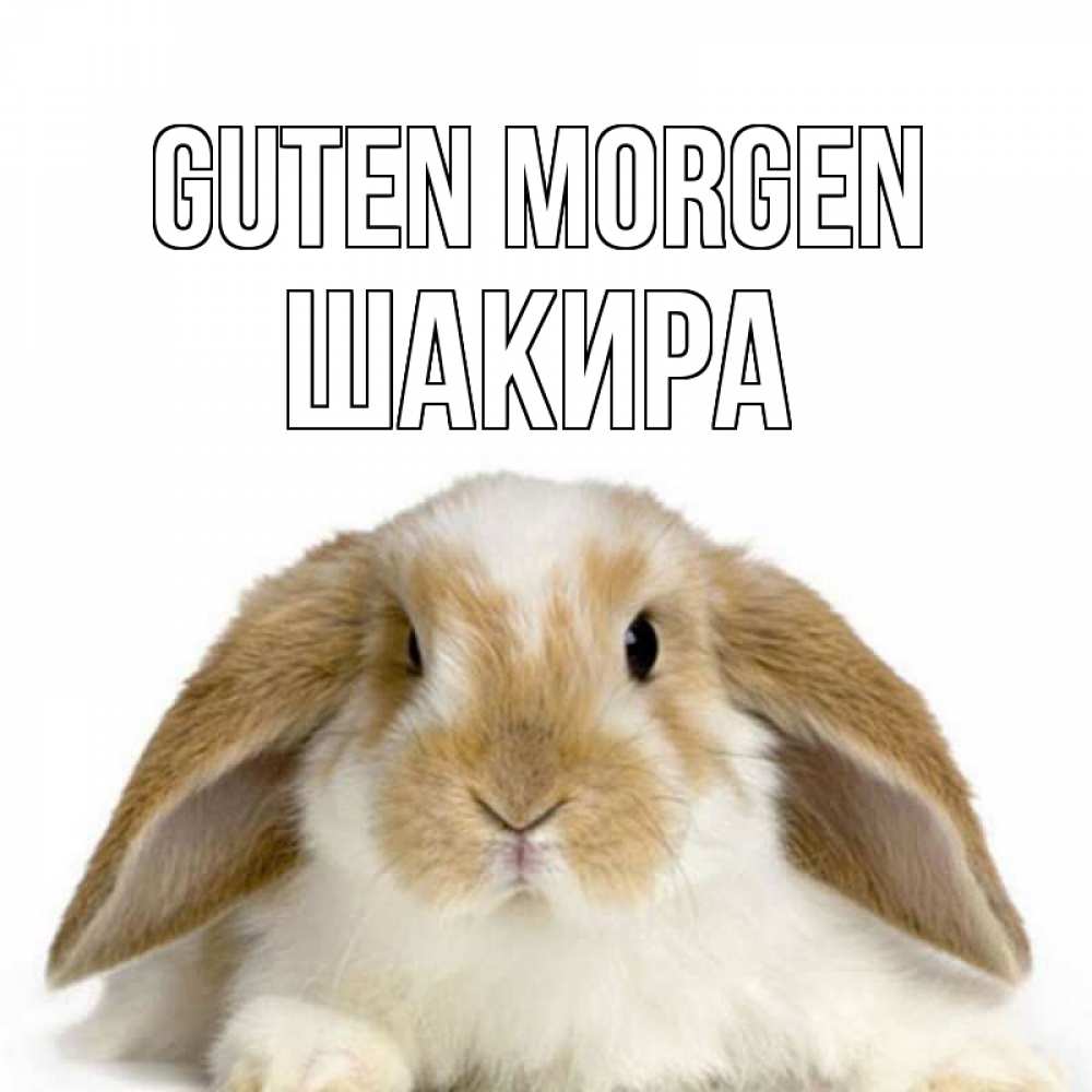 Открытка на каждый день с именем, Шакира Guten Morgen прикольные открытки на каждый день Прикольная открытка с пожеланием онлайн скачать бесплатно 