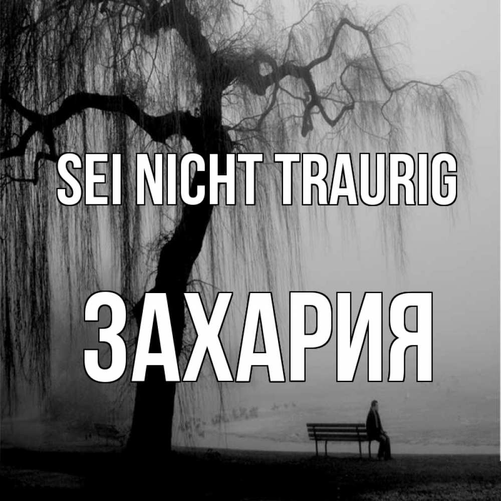 Открытка на каждый день с именем, Захария Sei nicht traurig висящие ветки дерева и лавочка под деревом Прикольная открытка с пожеланием онлайн скачать бесплатно 