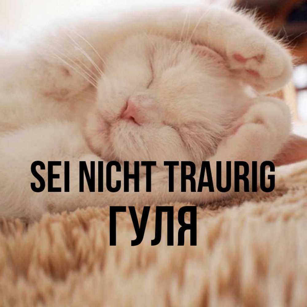 Открытка на каждый день с именем, Гуля Sei nicht traurig Котенок спит Прикольная открытка с пожеланием онлайн скачать бесплатно 