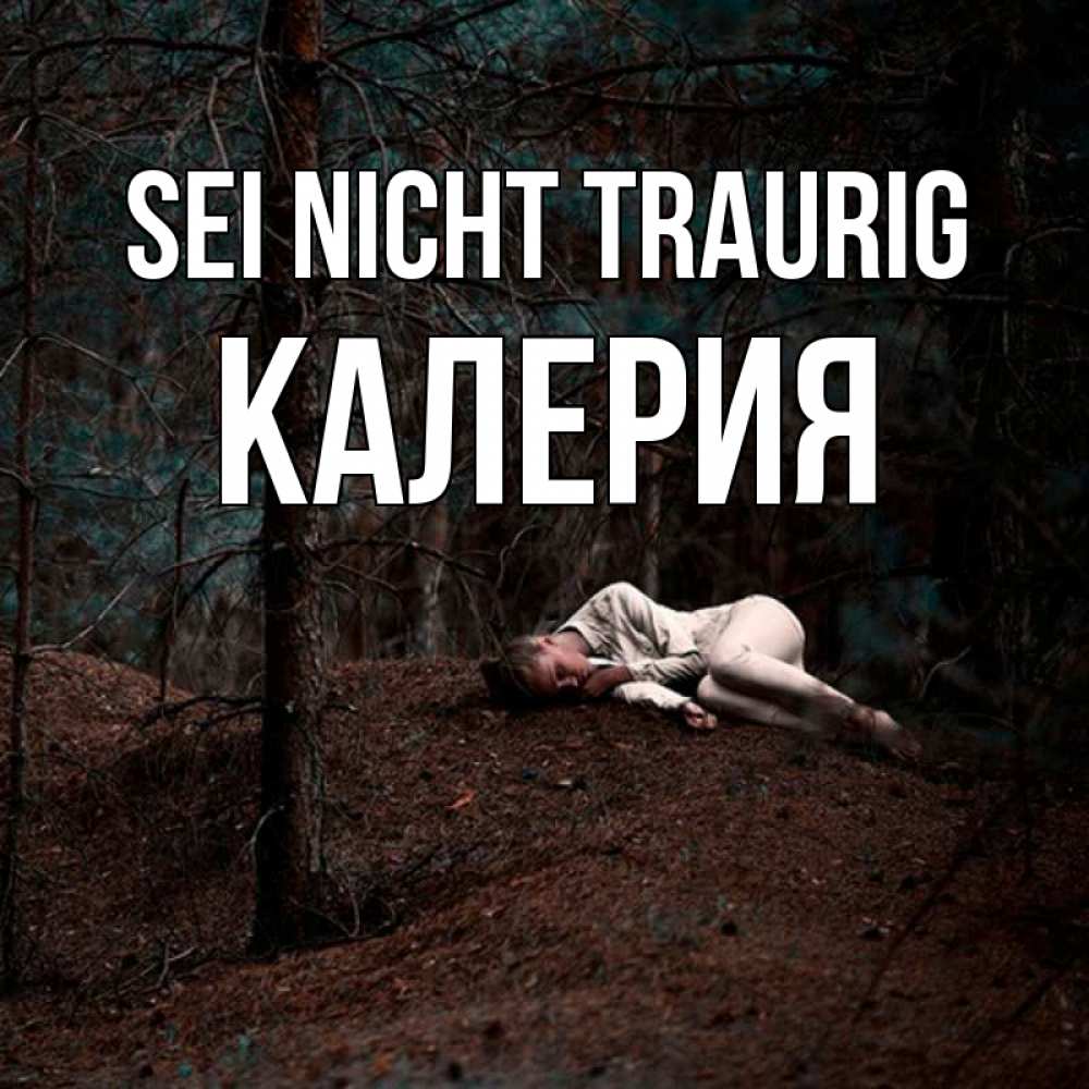 Открытка на каждый день с именем, Калерия Sei nicht traurig лес Прикольная открытка с пожеланием онлайн скачать бесплатно 