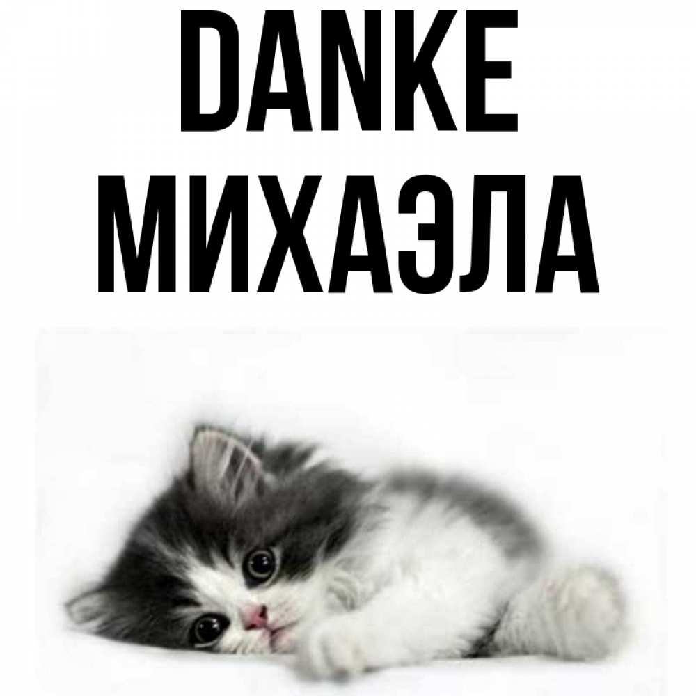 Открытка на каждый день с именем, Михаэла Danke черный и белый кот Прикольная открытка с пожеланием онлайн скачать бесплатно 