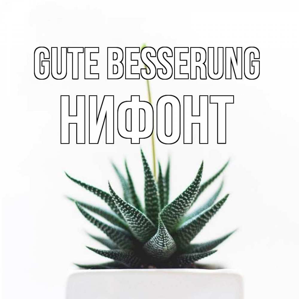 Открытка на каждый день с именем, Нифонт Gute Besserung короче это непонятная колючка Прикольная открытка с пожеланием онлайн скачать бесплатно 