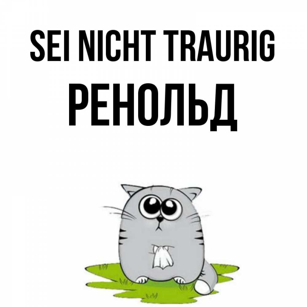 Открытка на каждый день с именем, Ренольд Sei nicht traurig грустный котяра Прикольная открытка с пожеланием онлайн скачать бесплатно 