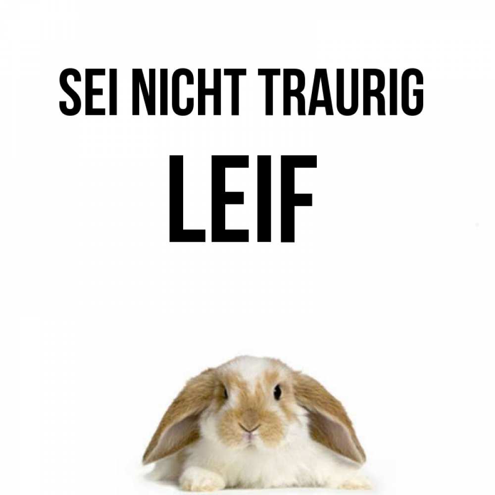 Открытка на каждый день с именем, Leif Sei nicht traurig коричнево белый заяц с большими ушками Прикольная открытка с пожеланием онлайн скачать бесплатно 