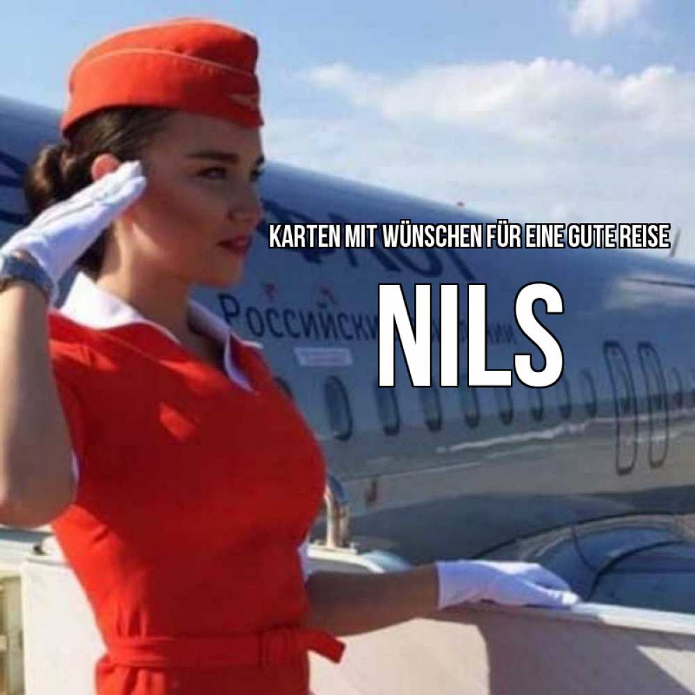 Открытка на каждый день с именем, Nils Karten mit Wünschen für eine gute Reise чудесного полета Прикольная открытка с пожеланием онлайн скачать бесплатно 