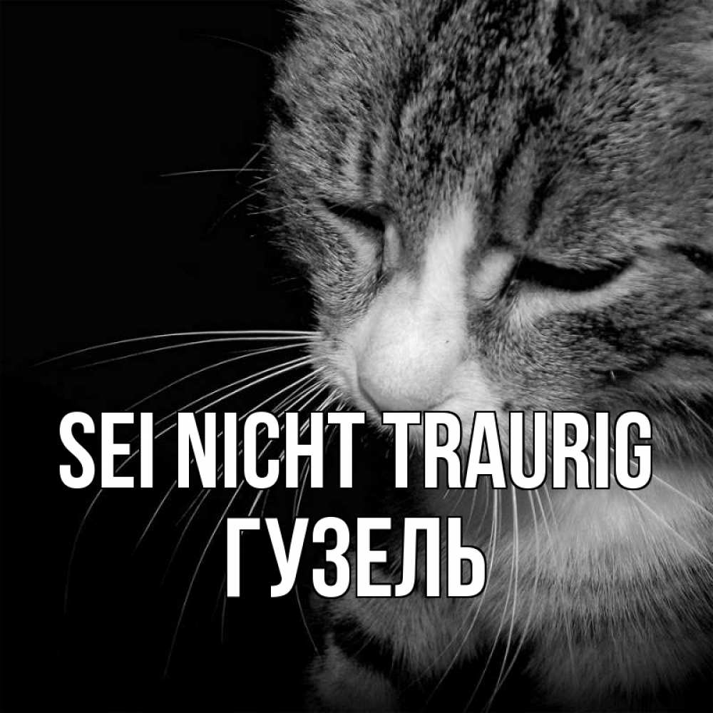 Открытка на каждый день с именем, Гузель Sei nicht traurig грустный котик Прикольная открытка с пожеланием онлайн скачать бесплатно 