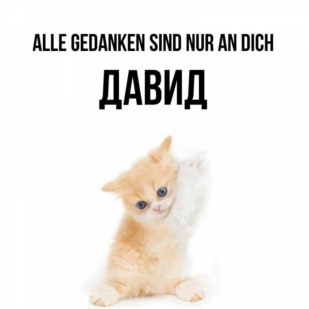 Открытка на каждый день с именем, Давид Alle Gedanken sind nur an dich зверушки и милота Прикольная открытка с пожеланием онлайн скачать бесплатно 