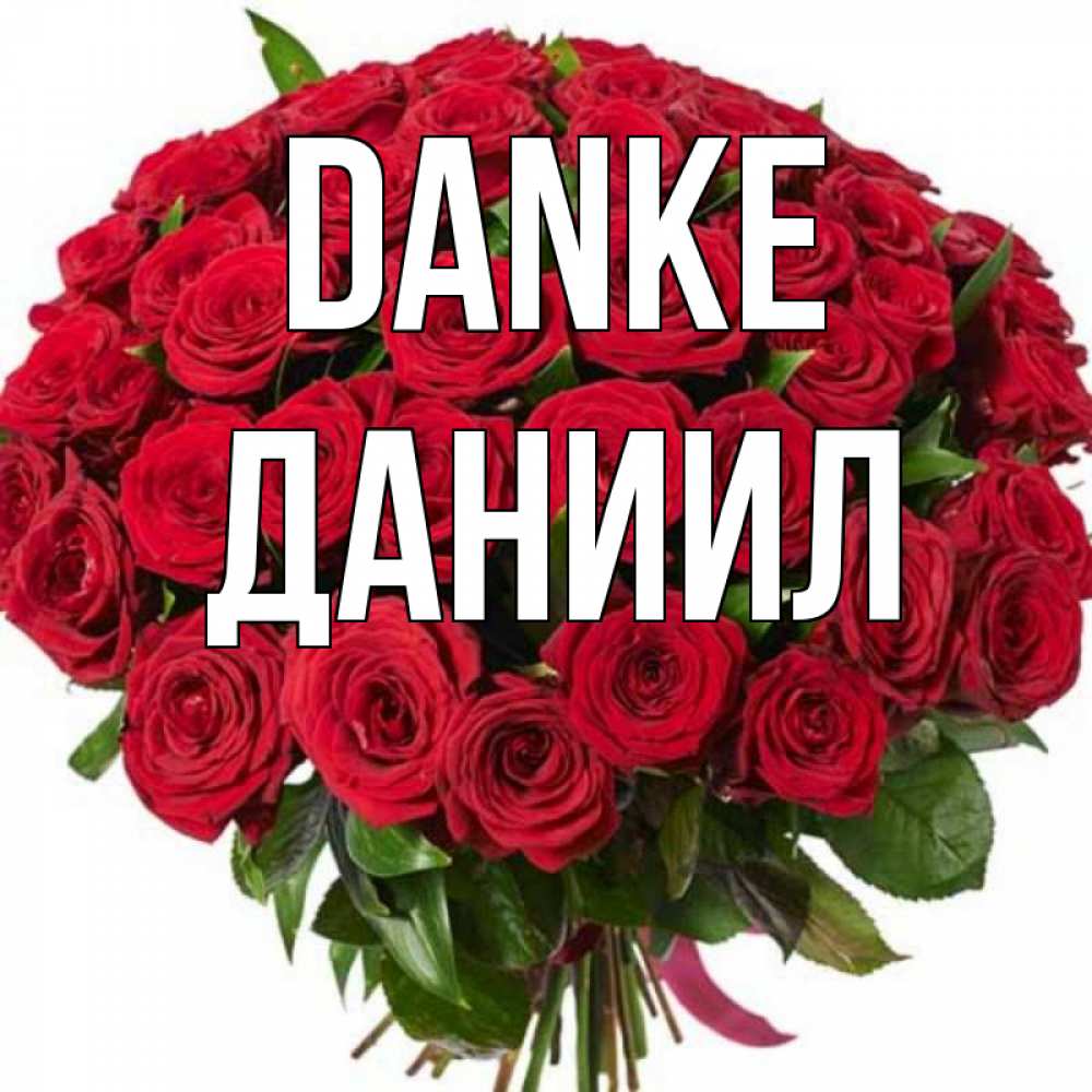 Открытка на каждый день с именем, Даниил Danke букет красных роз Прикольная открытка с пожеланием онлайн скачать бесплатно 