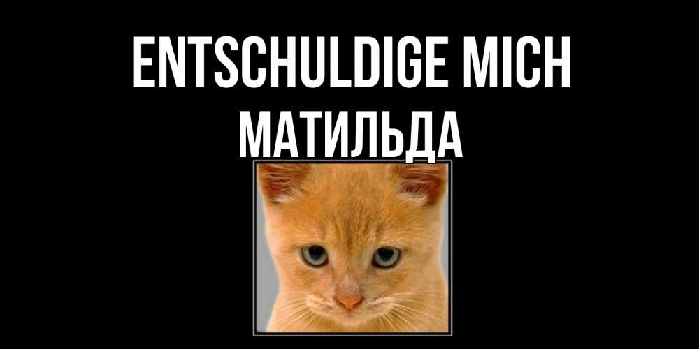 Открытка на каждый день с именем, Матильда Entschuldige mich рыжий грустный кот просит прощения Прикольная открытка с пожеланием онлайн скачать бесплатно 