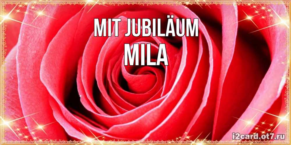 Открытка на каждый день с именем, Mila Mit Jubiläum розовая роза очень крупный бутон Прикольная открытка с пожеланием онлайн скачать бесплатно 