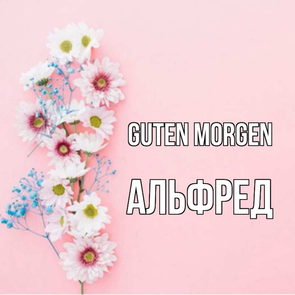 Открытка на каждый день с именем, Альфред Guten Morgen цветы с подписью Прикольная открытка с пожеланием онлайн скачать бесплатно 