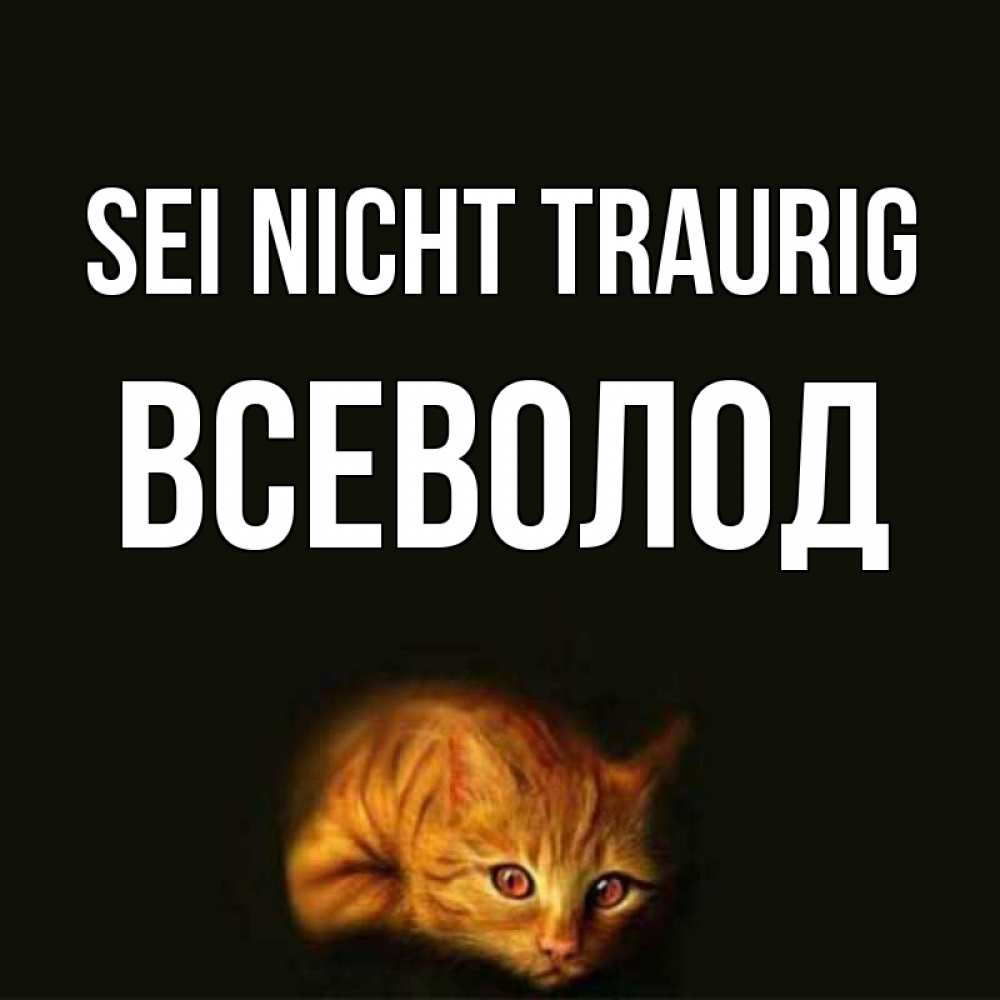 Открытка на каждый день с именем, Всеволод Sei nicht traurig лежащий кот в темноте Прикольная открытка с пожеланием онлайн скачать бесплатно 