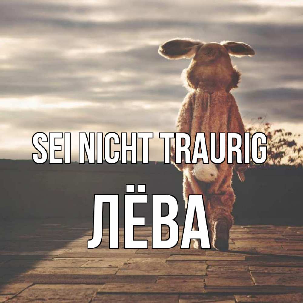Открытка на каждый день с именем, Лёва Sei nicht traurig со спины Прикольная открытка с пожеланием онлайн скачать бесплатно 