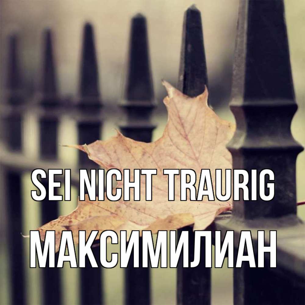 Открытка на каждый день с именем, Максимилиан Sei nicht traurig лист клена Прикольная открытка с пожеланием онлайн скачать бесплатно 