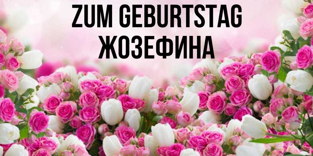 Открытка на каждый день с именем, Жозефина Zum Geburtstag открытка с разными розами Прикольная открытка с пожеланием онлайн скачать бесплатно 