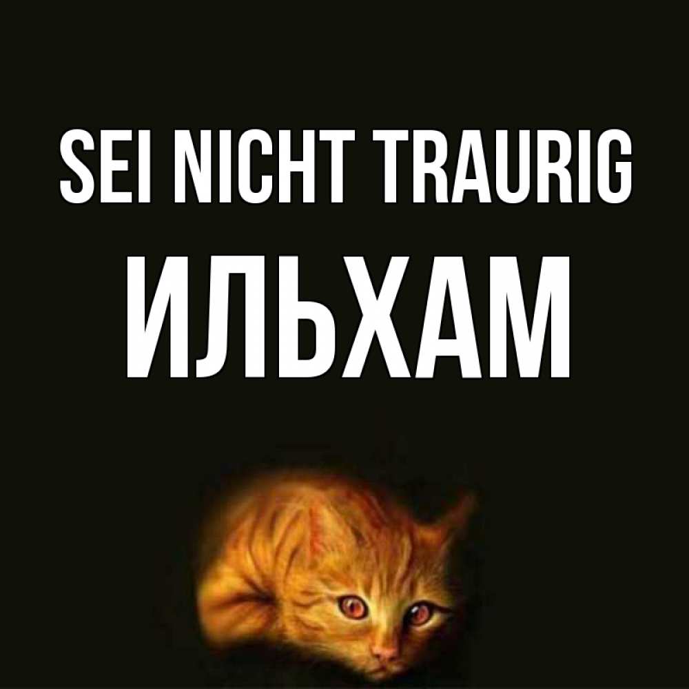 Открытка на каждый день с именем, Ильхам Sei nicht traurig лежащий кот в темноте Прикольная открытка с пожеланием онлайн скачать бесплатно 