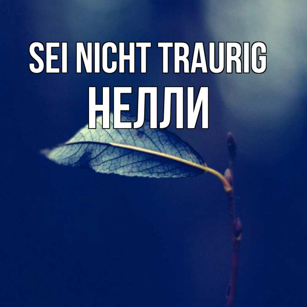 Открытка на каждый день с именем, Нелли Sei nicht traurig растение Прикольная открытка с пожеланием онлайн скачать бесплатно 