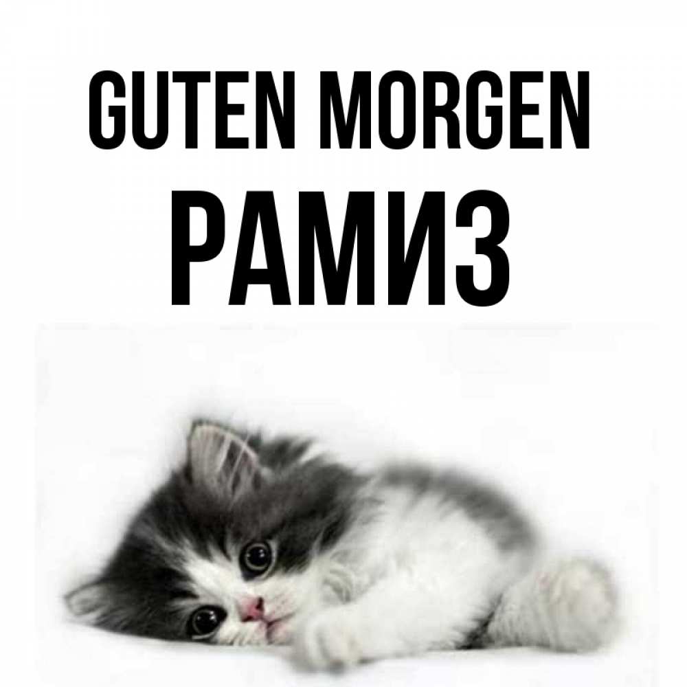 Открытка на каждый день с именем, Рамиз Guten Morgen кот лапки Прикольная открытка с пожеланием онлайн скачать бесплатно 