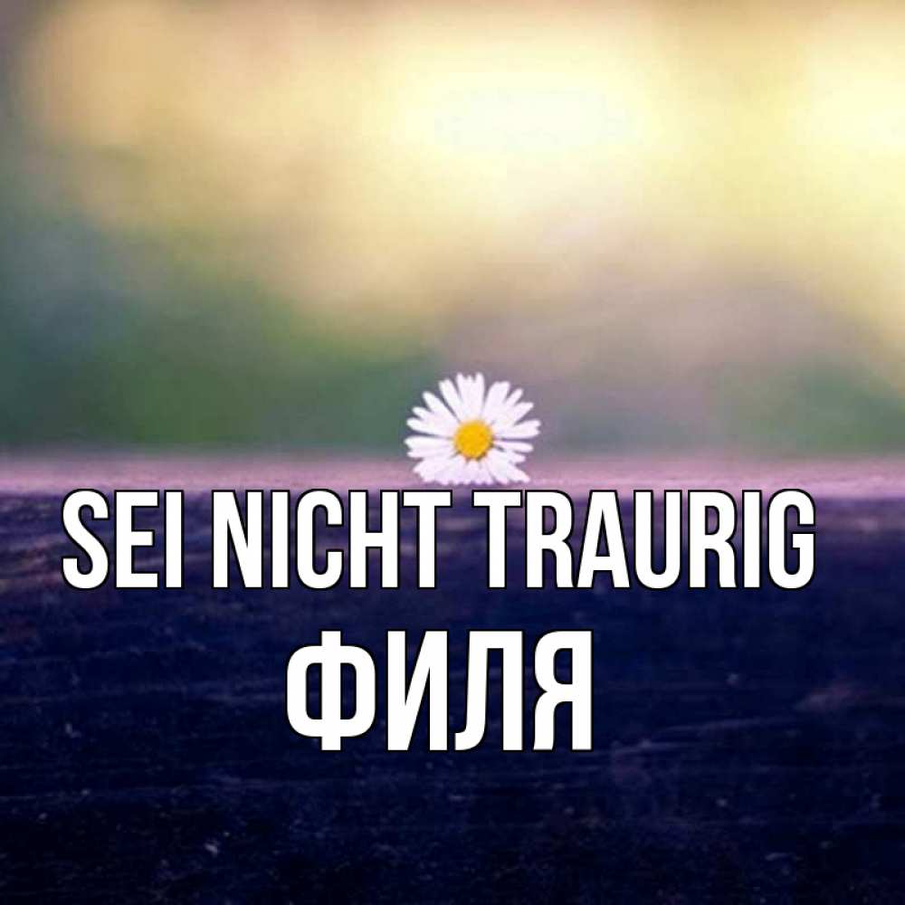 Открытка на каждый день с именем, Филя Sei nicht traurig красота Прикольная открытка с пожеланием онлайн скачать бесплатно 