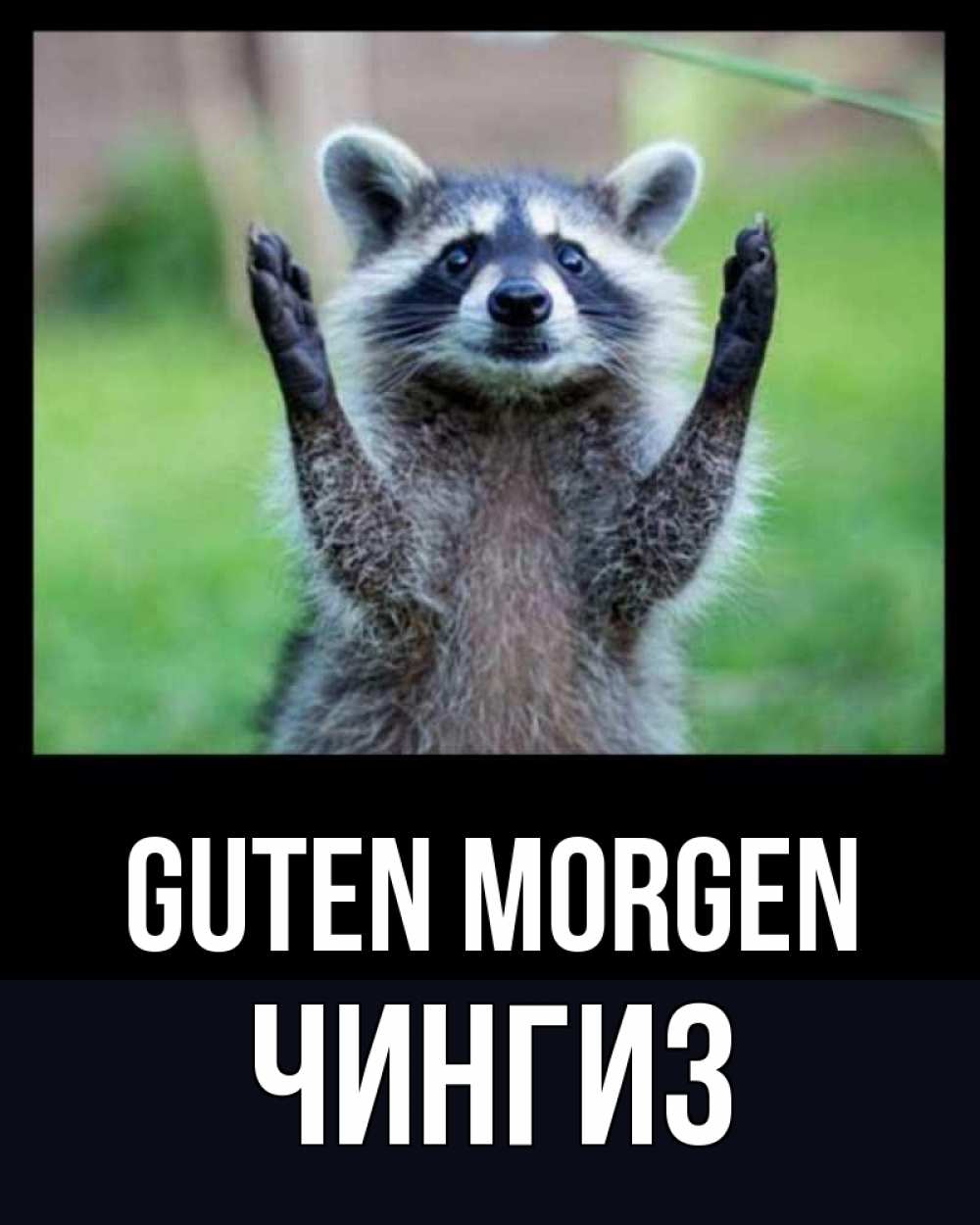 Открытка на каждый день с именем, Чингиз Guten Morgen хорошее настроение утречком Прикольная открытка с пожеланием онлайн скачать бесплатно 