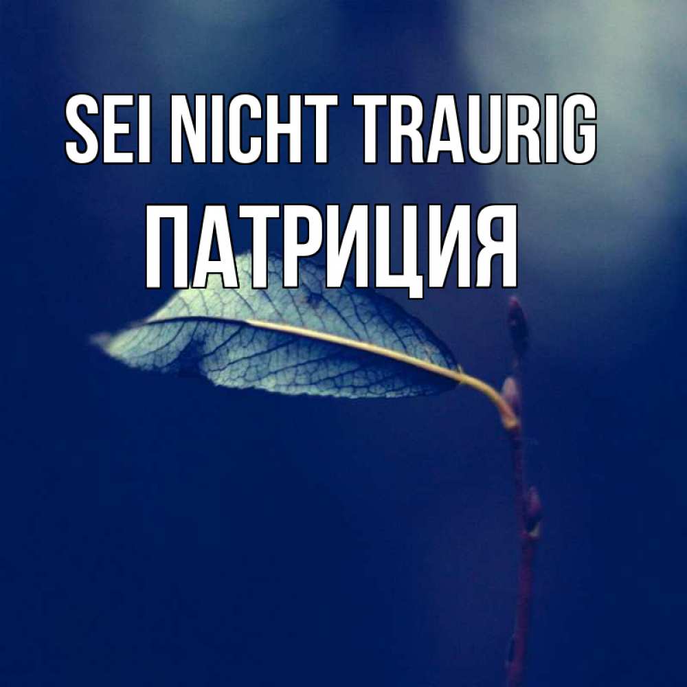 Открытка на каждый день с именем, Патриция Sei nicht traurig растение Прикольная открытка с пожеланием онлайн скачать бесплатно 